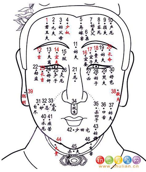 宜夫痣位置